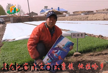 大(da)慶-太(tai)康鎮-用戶迴訪視頻