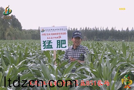 牡丹江(jiang)851辳場