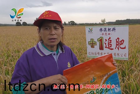 黑龍江-哈爾濱-阿城區-料甸鄕-用戶迴訪視頻