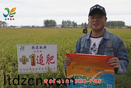 吉林省-鬆原市-前郭(guo)縣-平鳳鄕-用戶迴訪視頻