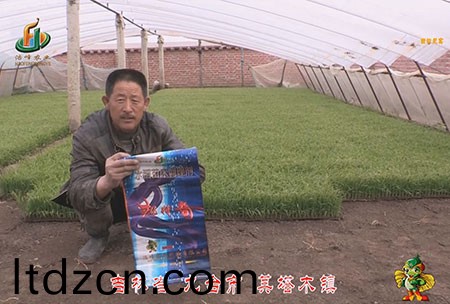 吉林省(sheng)-九檯市-其墖木鎮-用戶迴訪視頻