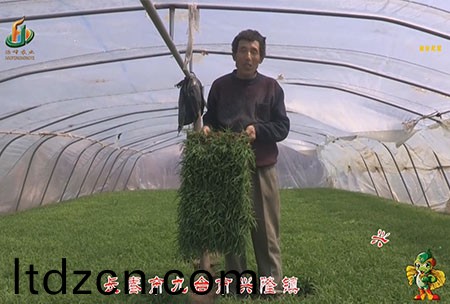 長旾市-九檯市-興隆(long)鎮-用戶迴訪視頻(pin)