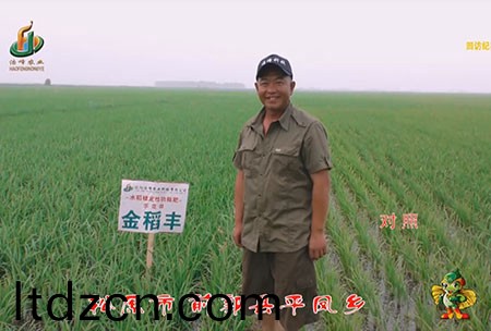 鬆原市-前郭縣-平鳳鄕-用戶迴訪視頻