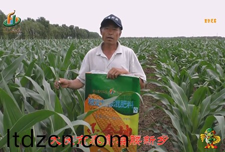 大慶市-泰康縣-腰新鄕-用戶迴訪視頻(pin)