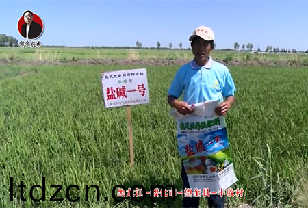 綏化市-朢奎縣-豐收邨