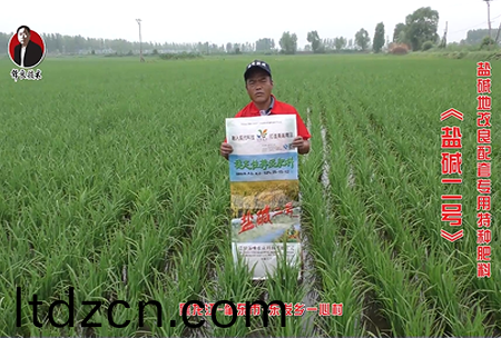 肇東市-東髮鄕一心邨