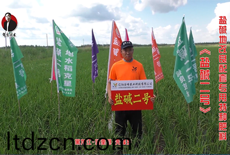 黑龍江-朢奎縣-先鋒鄕(xiang)