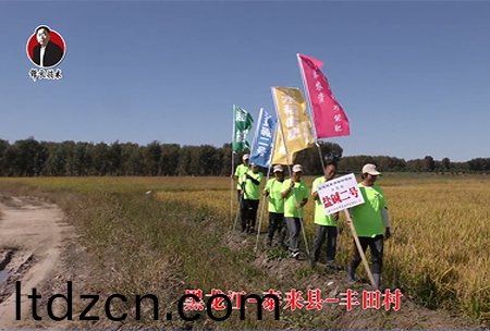 黑(hei)龍江-泰來縣-豐田邨-01