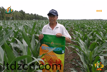 大慶泰康(kang)腰(yao)新11