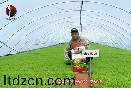 齊齊哈爾市-富裕縣