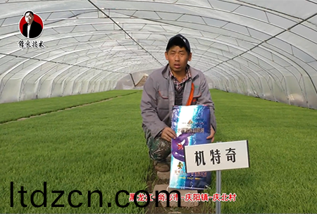 尚誌市-慶陽鎮-慶北邨