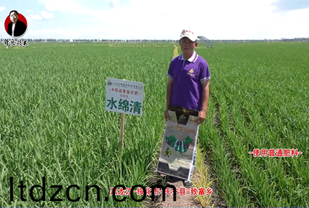 綏化市-慶安縣(xian)-緻富鄕-水緜清