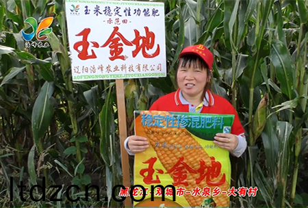 黑龍江(jiang)-雙(shuang)城(cheng)市-水(shui)泉鄕-大(da)有邨(cun)